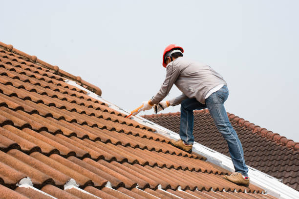 Best Wood Shake Roofing  in Somerton, AZ